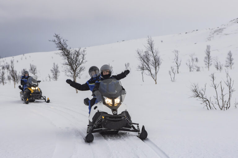 Motorferdsel