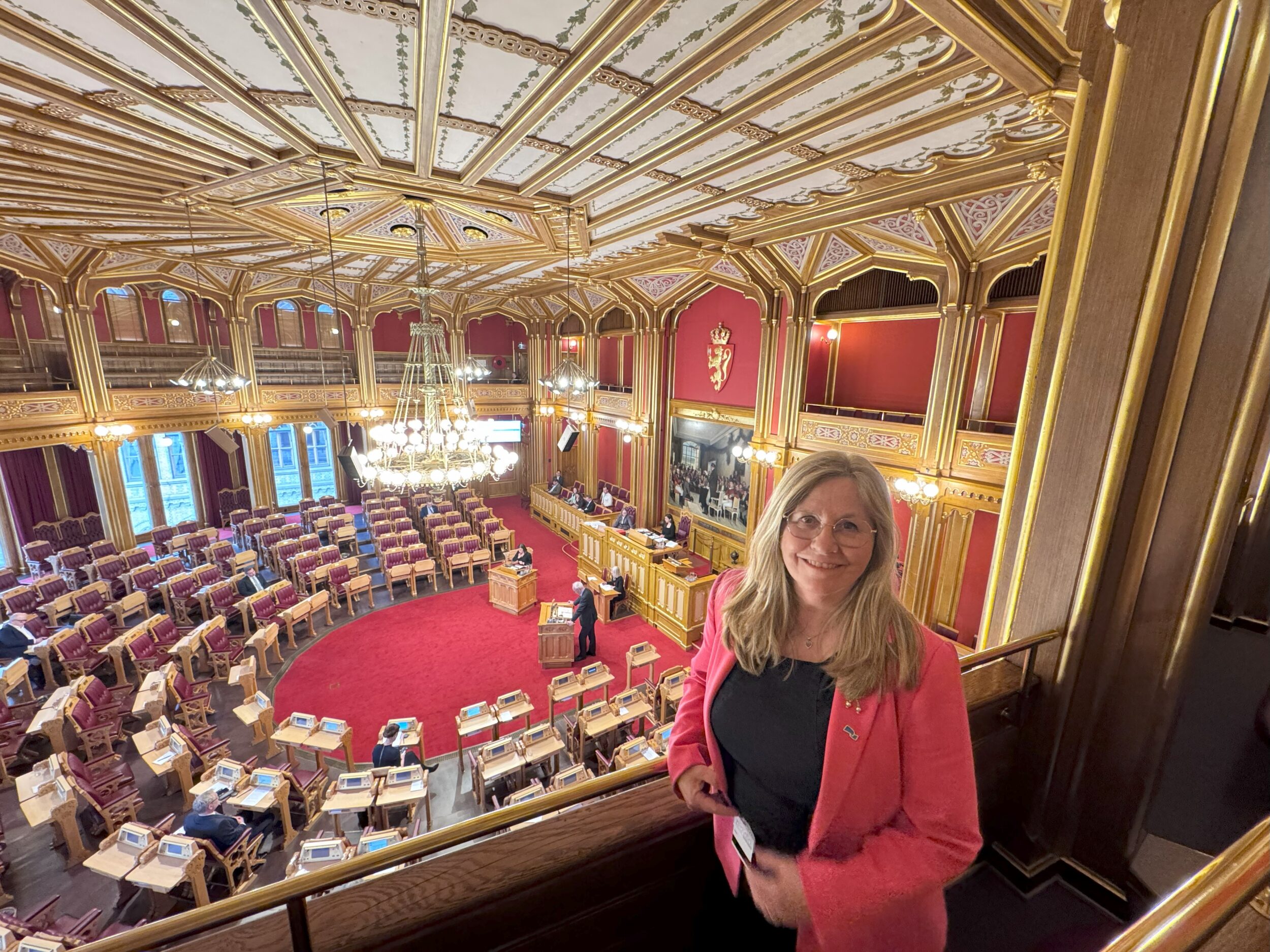 Tine Linnestad på Stortinget