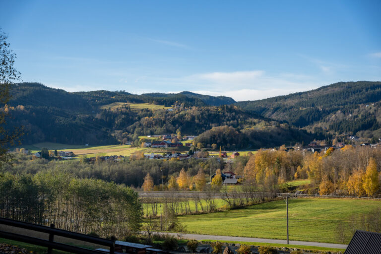 Oversiktsbilde over Hovin.