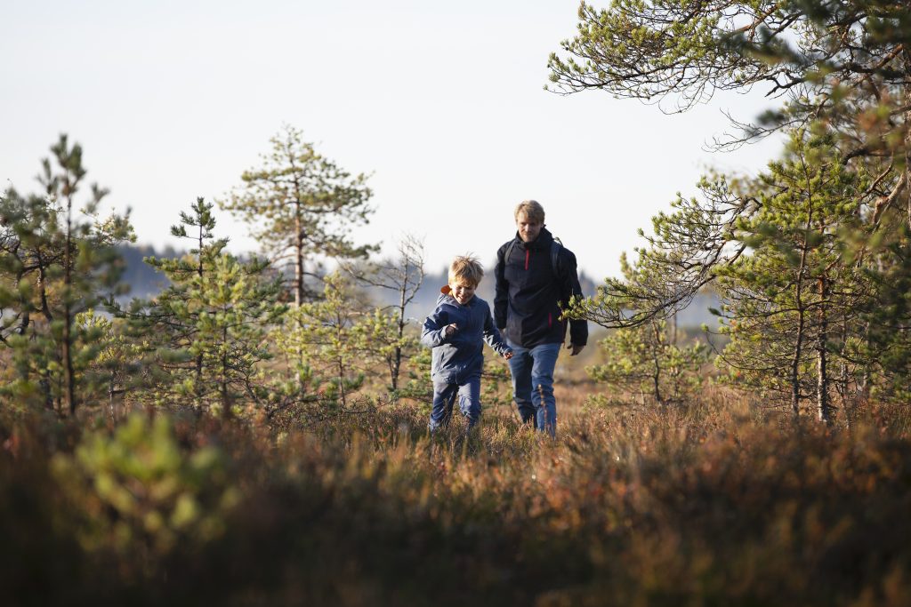 Far og sønn går tur i skogen