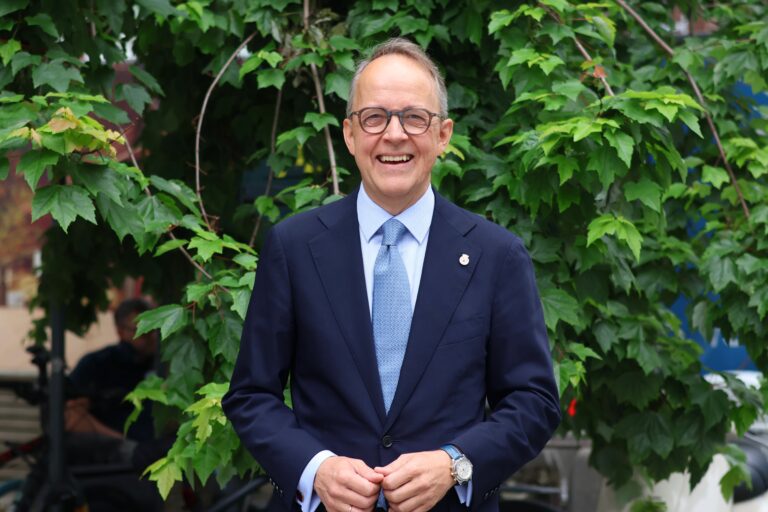 Oluf Ulseth, helsebyråd