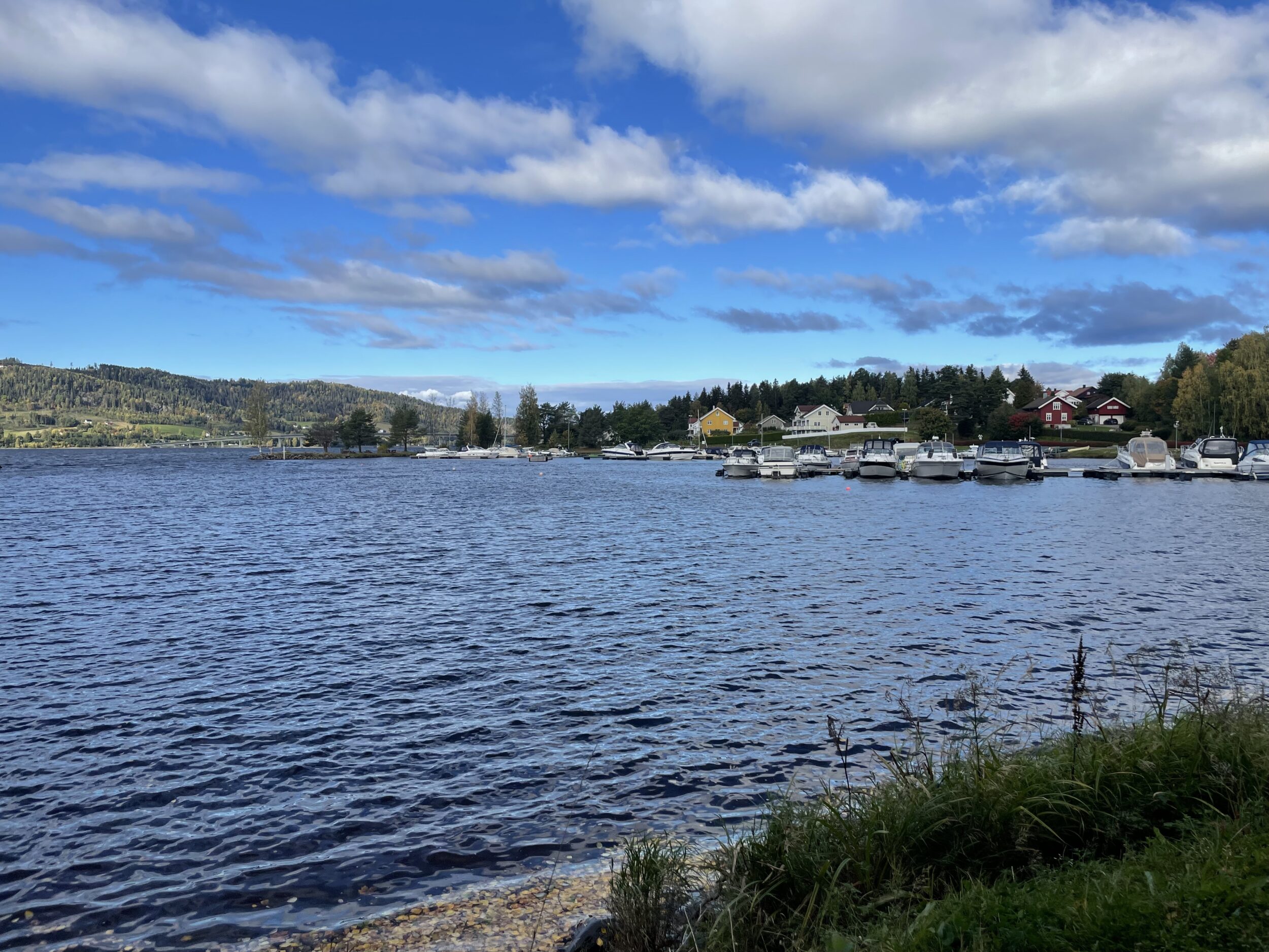 Mjøsa ved Moelven. Foto: Innlandet Høyre