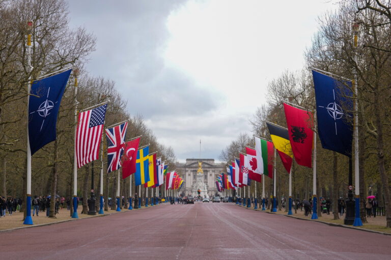 Flags of NATO and its member states are displayed along The Mall, in front of Buckingham Palace, ahead of the 75th anniversary of the signing of the North Atlantic Treaty, in London, Britain April 3, 2024. REUTERS/Maja Smiejkowska