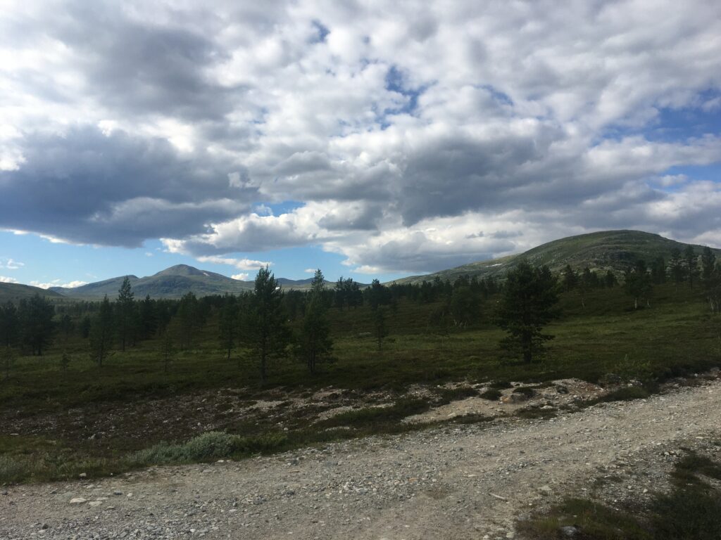 Nord-Østerdalen. Foto: Erlend Gjølme / Innlandet Høyre